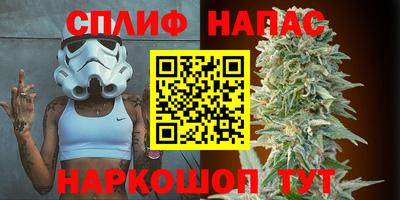 крисы Кинель