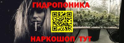 Альфа ПВП Кингисепп
