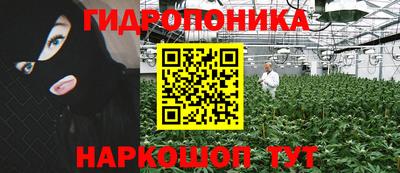 Альфа ПВП Кингисепп