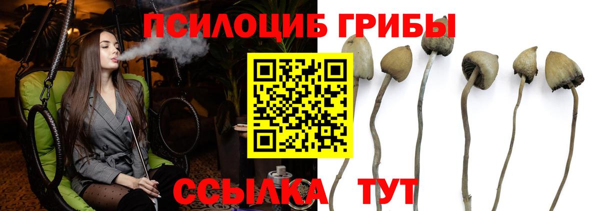 Псилоцибиновые грибы GOLDEN TEACHER  Вход с VPN  закладка  Псилоцибиновые грибы мицелий  Шарыпово 